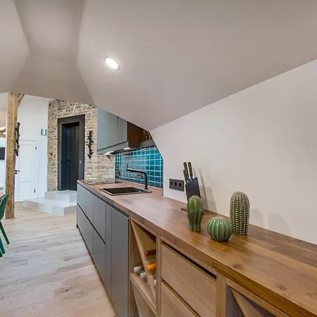 公寓 Big Design - Sleeps 12 - Location 里加